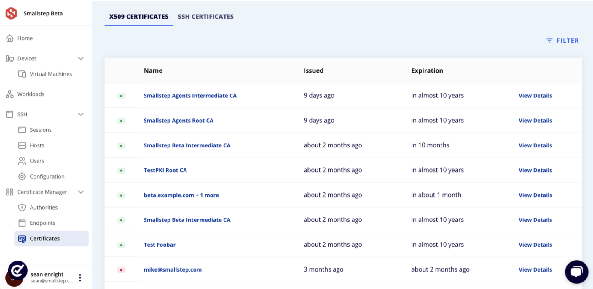 Smallstep certificate manager showing a dense table of X509 certificates with issue and expiration dates